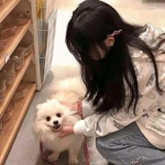 三国杀名将传渠道手游下载