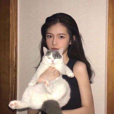 小精灵进化之路手游下载